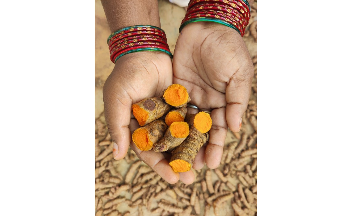 10 Fun Facts you didn’t know about Turmeric?