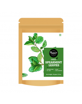 FLAVOURS AVENUE - Dried Spearmint leaves - 50gms (All Natural, Farm-fresh, Premium Quality Herb, Ideal for Tea Infusions)